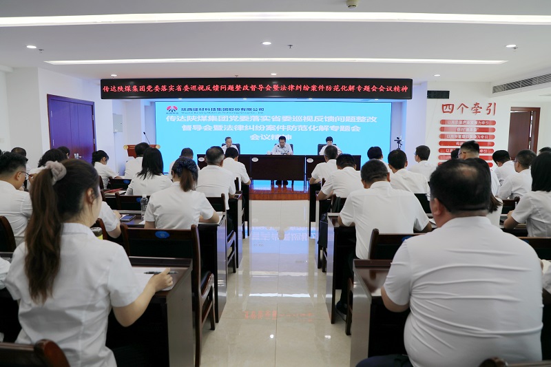 建材科技公司召开专题会议学习传达狗子28集团党委关于落实省委巡视反馈问题整改督导会暨法律纠纷案件防范化解专题会会议精神